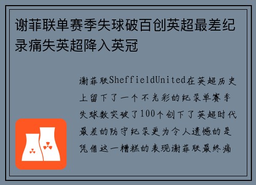 谢菲联单赛季失球破百创英超最差纪录痛失英超降入英冠 谢菲联单赛季失球破百创英超最差纪录痛失英超降入英冠
